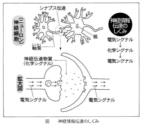 �V�i�v�X�̐}